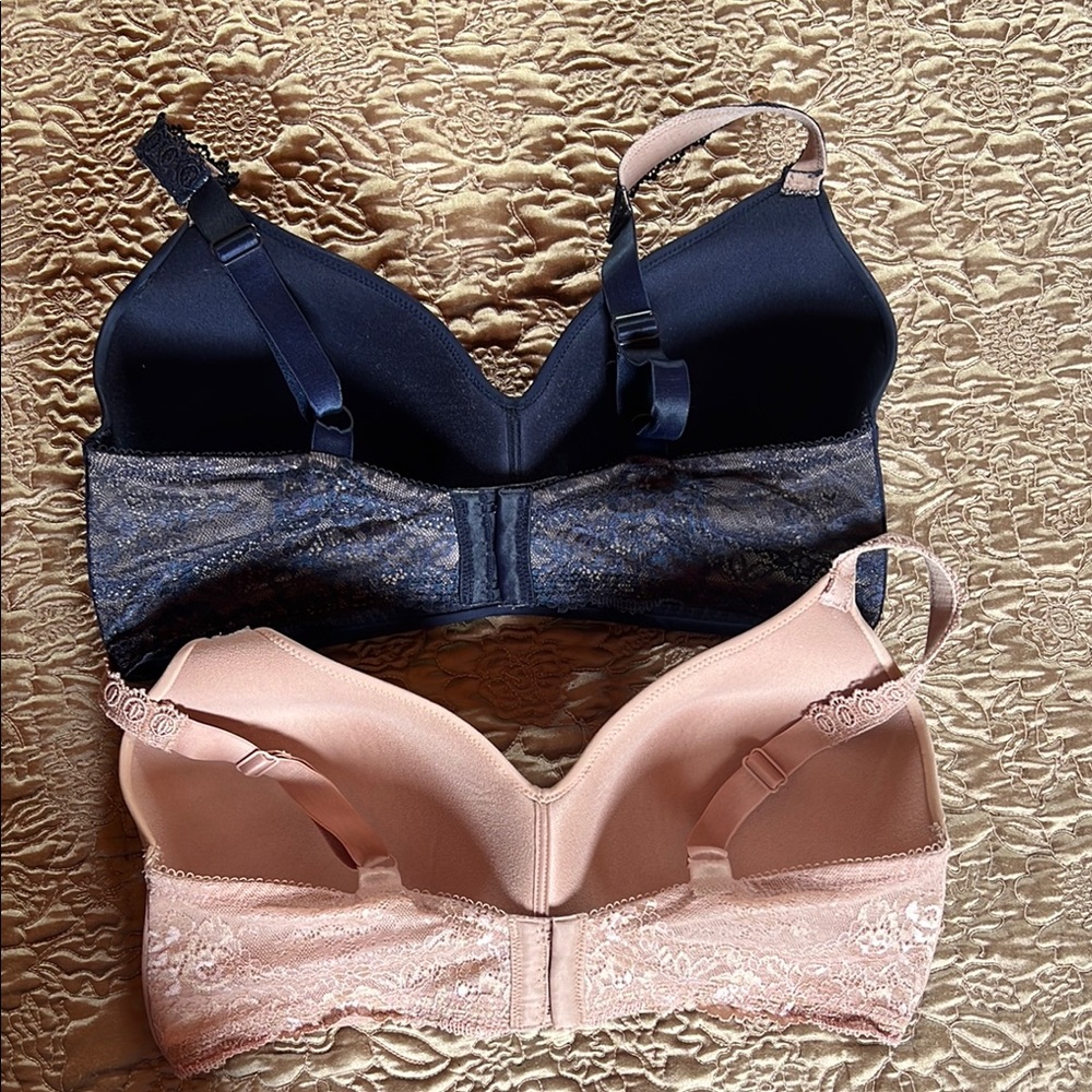Wacoal Blue and Cream Intimates Bras